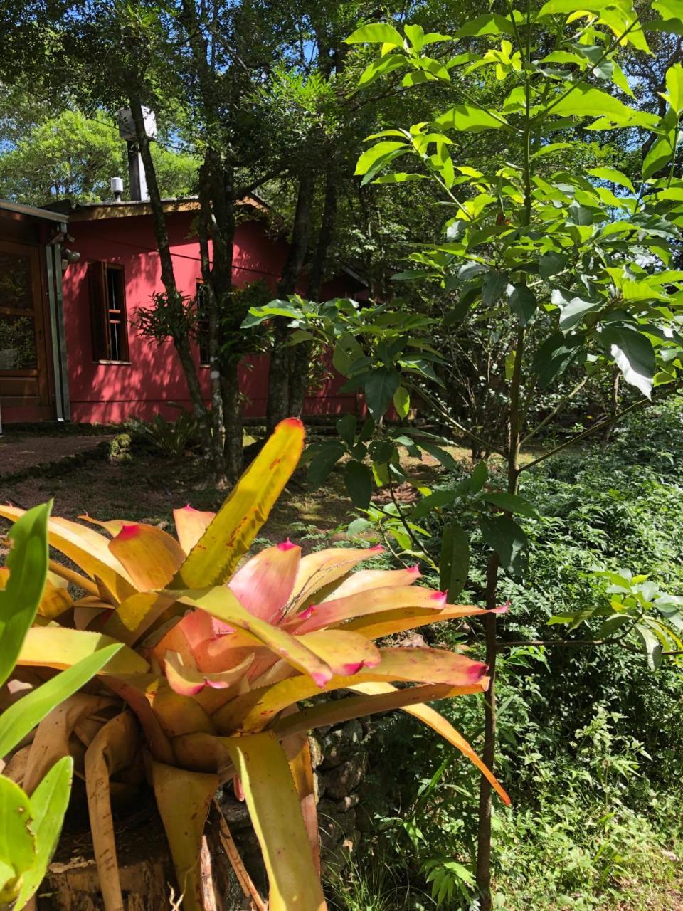 Refugio Da Natureza São Francisco de Paula Exterior photo